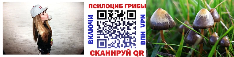Псилоцибиновые грибы ЛСД  купить закладку  Пойковский 