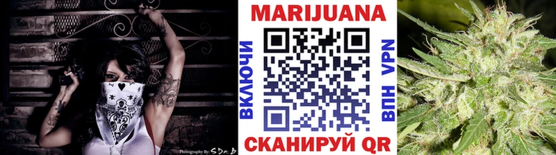 Шишки марихуана конопля купить Пойковский